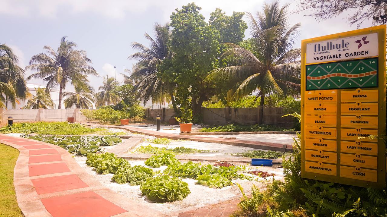 Hulhule Island Hotel Мале Екстериор снимка
